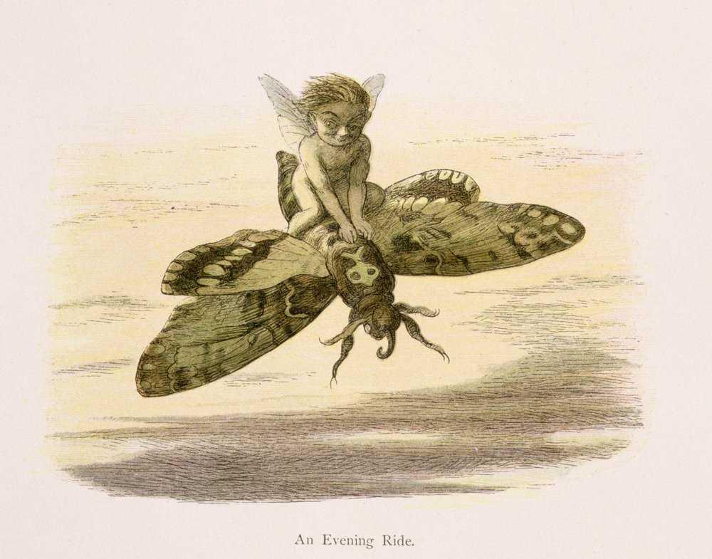 Richard Doyle - An Evening